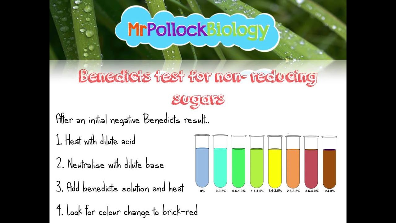 Biochemistry: Know Your Biochemical Tests - YouTube