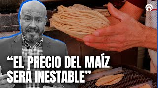 “Tortilla subirá de precio si se prohíbe el maíz transgénico”: Homero López