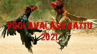 poolavalasu kattu 2021