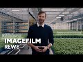 Imagefilm | REWE | Filmproduktion Frankfurt