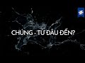 NƯỚC - Phép màu của sự sống | SAMURICE SPECIAL