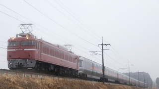 【返却回送・EF81-81号機牽引】 カシオペア紀行 片岡～蒲須坂通過2