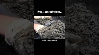 世界最會喝水的馬路，一車水1分鐘不到就被喝沒了。#黑科技 #漲知識 #科普