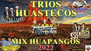 🎻Trio Huastecos Huapangos 2022🔥Huapangueros Diferentes, Halcon Huasteco, Imperiales De La Sierra
