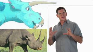 Triceratops - Dinosaur Train - The Jim Henson Company