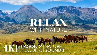 4K Scenic Journey Around the World with Calming Sounds - RELAX WITH NATURE | Season 2; Episode 8