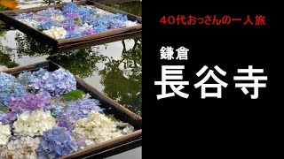 【鎌倉】長谷寺のあじさい