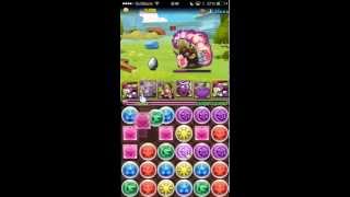 【パズドラ】アングリーバードエピックコラボ 激辛 Sランク 赤ソニアPT