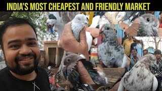 Revisiting AFTER 2 Years - India's Most Cheapest Pigeon Market In Varanasi | Banaras Kabootar Vlog