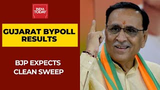 Gujarat Bypoll Results: BJP Expected To Win 6-7 Seats Out Of 8 Assembly Seats