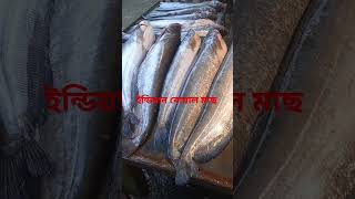 ইন্ডিয়ান বোয়াল মাছ ৬৫০ টাকা কেজি।#fish #shortvideo #youtubeshorts