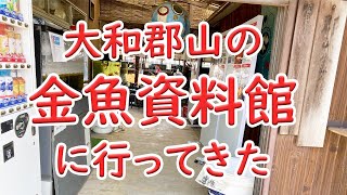 金魚の歴史は深い【金魚歴史資料館へ】