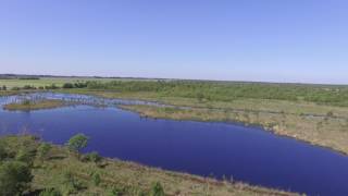 UHD4K - Natuurpark Bargerveen Weiteveen Drone Beelden