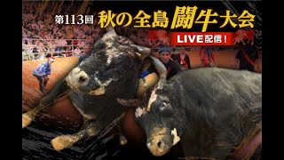 【PR】第113回秋の全島闘牛大会オンライン有料生配信のお知らせ