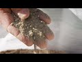 The Garden Gurus - Solving Your Sandy Soil