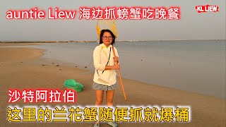 沙特阿拉伯 - 夜幕低垂 华灯初上，auntie Liew 海边抓螃蟹吃晚餐，享受独特的晚餐，这里的兰花蟹随便抓就爆桶