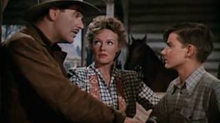 Thunderhead Son of Flicka Western Family Film 1945 Roddy McDowall, Preston Foster & Rita Johnson