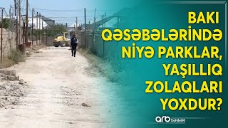 Bakı qəsəbələrində yaşıllıq zonalarının salınması üçün yer yoxdur: Bu problem necə həll olunmalıdır?