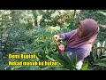 Mengais rezeki dalam hutan yang lebat. Tinggal di gubuk dan berkebun.