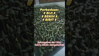 Perbedaan Biji Benih dan Bibit #shorts #pertanian #bibit #benihunggul #bibit