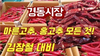 김장철대비 경동시장  마른고추, 홍고추의 모든 것을  지금 알려 드립니다.