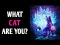 WHAT CAT ARE YOU? Magic Quiz - Pick One Personality Test