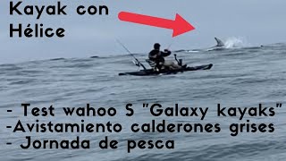 Test wahoo S ( kayak con helice) + Jornada de pesca + avistamiento calderones grises.