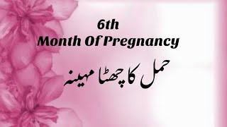 6 Months Pregnancy Complete Information | 6 Months Of Pregnancy | Pregnancy Info About 6 Month