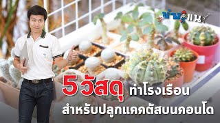 5 วัสดุทำโรงเรือนสำหรับปลูกแคคตัสบนคอนโด