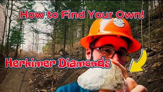 How to Find your Own Herkimer Diamonds!  💎 Mining Crystals in New York #nature