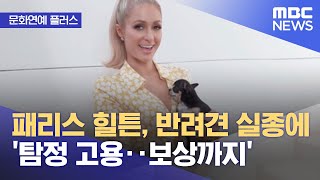 [문화연예 플러스] 패리스 힐튼, 반려견 실종에 '탐정 고용‥보상까지' (2022.09.22/뉴스투데이/MBC)