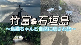 【竹富島/石垣島】初沖縄でチャリ爆漕ぎ人生with 島猫ちゃんズ旅