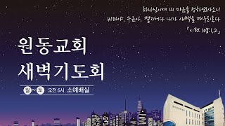 원동교회 새벽기도회(2025.01.24)