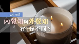 「內覺知」與「外覺知」有什麼不同？｜沈伶老師 #覺知 #自我覺察 #探索自我 #能量 #意識