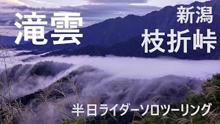 「滝雲」枝折峠ソロツーリング