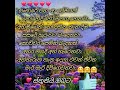 මෙි සංසාරේ සමහර ප්‍රේමයන්❣️🤗 words shortvideo shortsviral like life love🌹