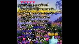 #මෙි සංසාරේ සමහර ප්‍රේමයන්❣️🤗#words#shortvideo#shortsviral#like #life#love🌹