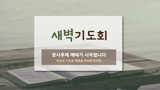 10분 말씀으로 복된 하루 열기(눅2:1-20)