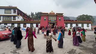 Rumtek lay community dance in Losar 2023