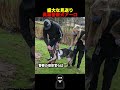 【英雄】警察犬の盛大なお見送り shortsvideo shorts dog 感動 動物