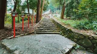 【京都の鬼門を守る】山王総本宮 日吉大社。西本宮〜東本宮〜奥総社【shrine visit】Hiyoshi Taisha Shrine. Shiga prefecture.