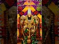 thirumala vasa sri vekatesha devotionalsongs thirumalai