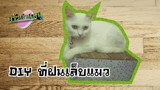 ที่ฝนเล็บแมว ที่ลับเล็บแมว | ครัวบ้านหนู DIY