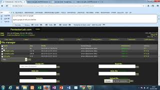 Web For Pentester File Include Example 1 Solution