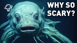 Why is Everyone So Scary in the Deep Ocean?