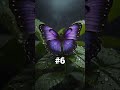 CHOOSE YOUR BUTTERFLY - AI VISION #aiart #top10 #nature #butterfly