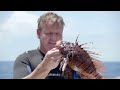 Gordon Ramsay Hunts For Lionfish To Cook  Season 1 Ep. 4  THE F WORD