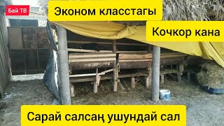 Эконом класстагы Кочкор кана! Арзан өзүңүз эле кылсаңыз болот.