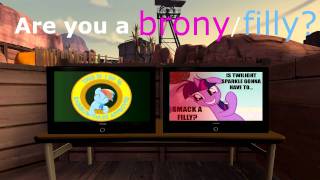 THE BRONY TEST