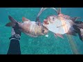 10 minutes of epic spearfishing in hawaii